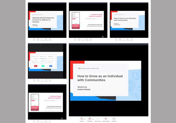 Image 275 - GDSC-275