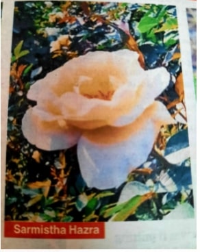 Sarmistha Hazra