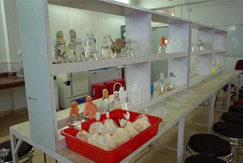 biotechnology & agriculture Photo-4