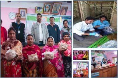 mushroom-cultivation