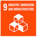 SDG 9