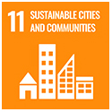 SDG 11