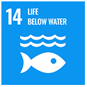 SDG 14