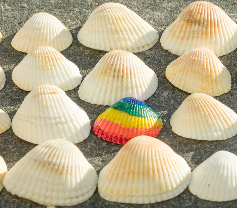 sl-no-05-reduced-inequalities